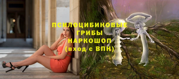 скорость Алзамай